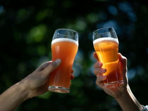 【クラフトビール】ルバーブビール飲み比べ3種 330ml 3本セット