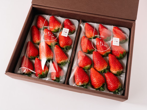 【ギフトボックス】◇超特大◇農皇いちご 静岡限定品種　きらぴ香　900g以上