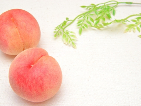 【早期予約価格】🍑さくら白桃　5kg 13～20玉　9月上旬発送　希少な桃　収穫した日に発送　家庭用　農家直送【朝どれ】