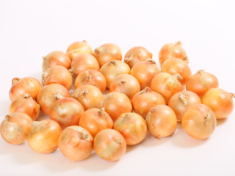 （残留農薬不検出）　納豆菌栽培　淡路島産玉ねぎ10ｋｇ　小ぶり品