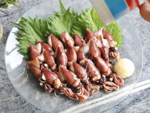 【夏ギフト】✨生・茹で・沖漬けのほたるいか贅沢3点セット✨