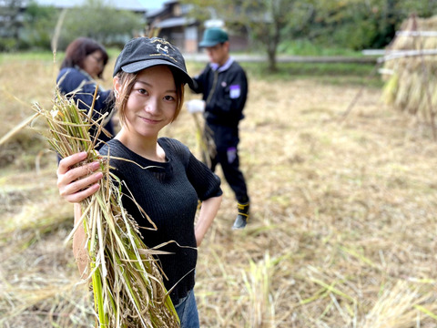 【2025年度産】自然栽培&天日干し『古代米ミックス』［紫黒米＋緑米］玄米250g（富山県氷見産）