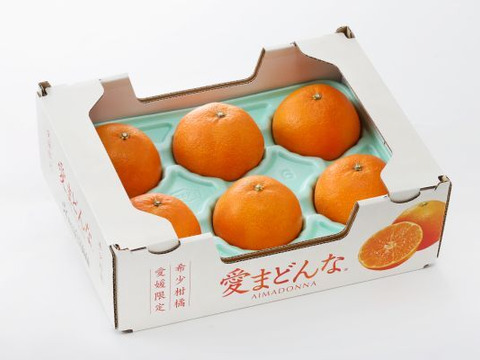 紅まどんな（家庭用）10kg 送料無料 不揃い 愛媛県産 ゼリー食感