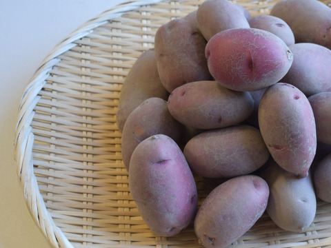 和らぎ農法　じゃがいも　春じゃがレッドムーン便（約2.5kg）