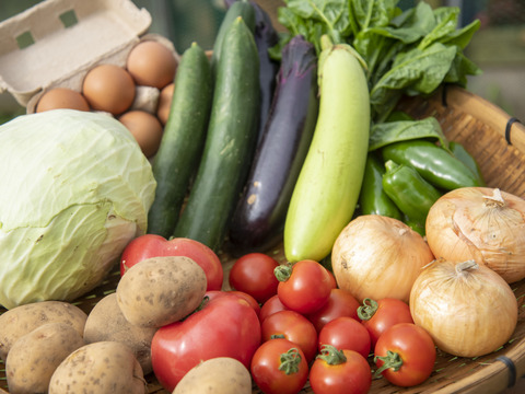 旬の野菜セット約8～10種類（農薬化学肥料不使用）