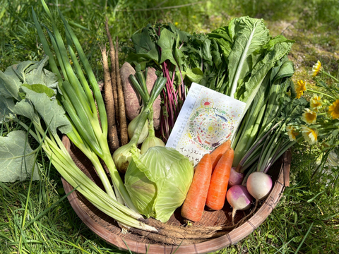 てんとうむしばたけがお届けする旬の有機野菜セット8~9品＜有機JAS認証＞