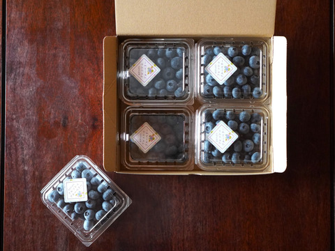 【夏ギフト】おいしい空気で育った樹上完熟～中粒～ブルーベリー＜匠＞125ｇ×8