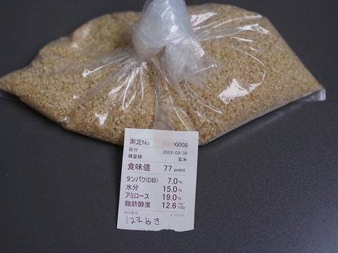 はえぬき 15kg 無洗米 令和4年産新米 山形県尾花沢産