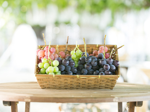 ひんやりスイーツ！冷凍ぶどう（種なしぶどうMIXシャインマスカット入り）