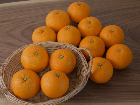 栽培期間中農薬不使用　甘夏５ｋｇ　M玉中心