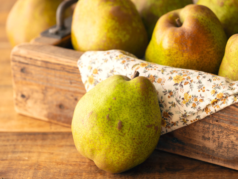 【山形県産 ラ・フランス】2kg（7玉前後）🍐芳醇な香りでプチギフトにも最適✨《早期予約割引実施中》