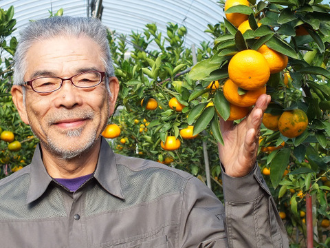 糖度が高すぎッ！ “味香デコ” ５kg