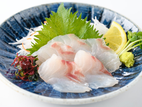 【福袋】百年漁師の鰤＆真鯛スキンレスロイン　ワイワイ大容量②（熨斗対応可）※販売は11月末まで