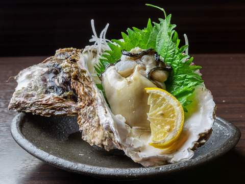 【夏の御馳走】夏輝になれませんでした/鳥取沖産/天然岩牡蠣/中サイズ/10個【生】