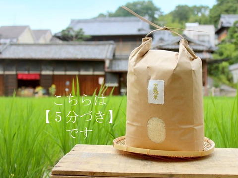 新米予約【金鵄米/5分づき/10kg】きんしまい2021年産ヒノヒカリ