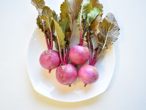 和らぎ農法　もものすけかぶ（2～6個）