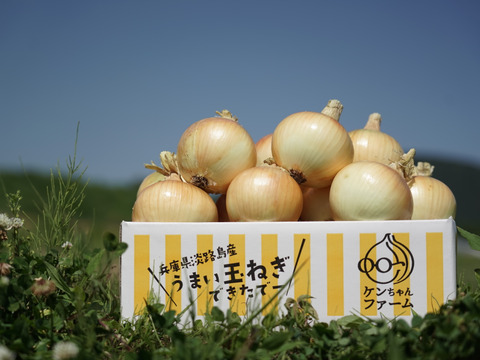 【定期便3ヶ月/淡路島玉ねぎ３kg】特別栽培　ひょうご安心ブランド認証取得の定期便