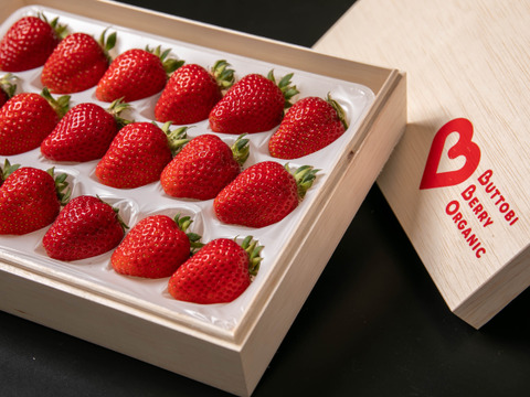 桐箱入り 農薬ゼロ 100%オーガニックいちご 中粒(18粒)