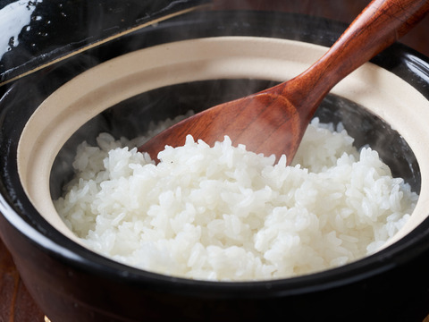 令和7年産 新米 新潟県産コシヒカリ 10kg【5kg×2袋】受注後精米 こしひかり