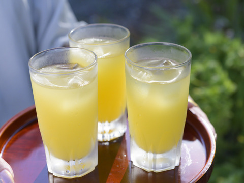 山乃神農園　甘夏フルーツソース 無添加・低温濃縮  栽培期間中農薬不使用