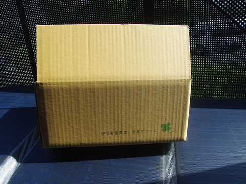 完売しました【農薬化学肥料栽培期間中不使用】🐞生落花生おおまさり＊3㎏＊2024年9月より限定販売