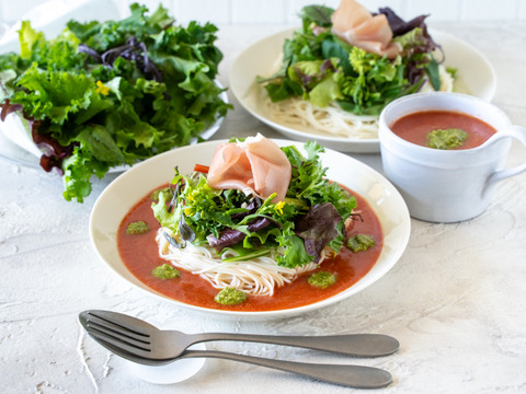 信州をお試し【旬彩野菜】BOX２～3人前　クリスマスパーティーにも！サラダリーフミックス140g1パック＋季節野菜1～2品。無施肥栽培・長野県安曇野産