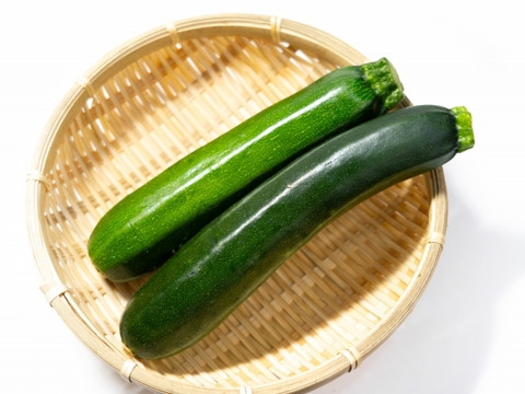 【栽培期間中　農薬不使用】クセがないのに、クセになる！肉厚ズッキーニ　緑（60サイズの箱にはいるだけ！）