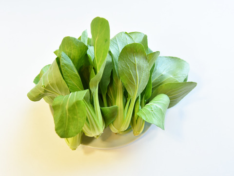 和らぎ農法　チンゲン菜（1袋）