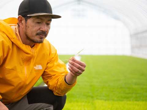 【令和7年新米】日本一！会津産ゆうだい21　米・食味分析鑑定コンクール国際大会　国際総合部門金賞受賞　会津産ゆうだい21　白米10キロ