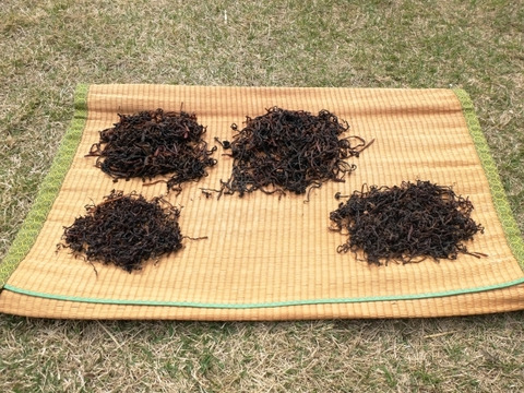 【令和７年新物】天然ぜんまい！食感やみつき‼ばあちゃんが手もみした干しぜんまい（50g)  妙高市産 5~6倍に増える 乾燥ぜんまい  オマケ付き！