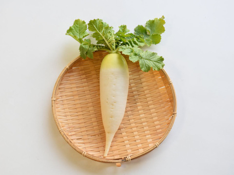 和らぎ農法　ミニ大根（1～2本）