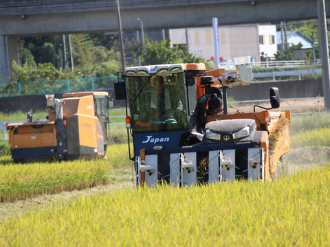 令和6年産 田んぼ屋たなかのにじのきらめき 5kg（精米）：香川県