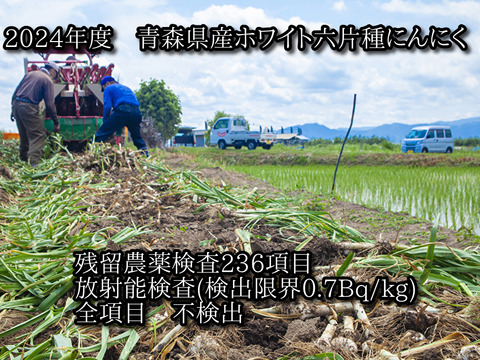 【わけあり品・数量限定】青森県産ホワイト六片種にんにく バラ 1kg(500g×2箱)【小粒のみ】