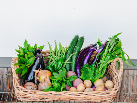 【７月の野菜】有機JASオーガニック野菜Ⅿセット