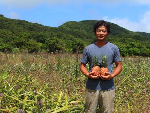 穫れたて新鮮冷凍！西表島産完熟ピーチパイン