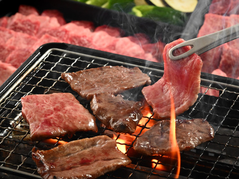 若狭牛５部位(70g×5)お試し焼肉セット350g 特製焼肉のタレ付き(90ml)