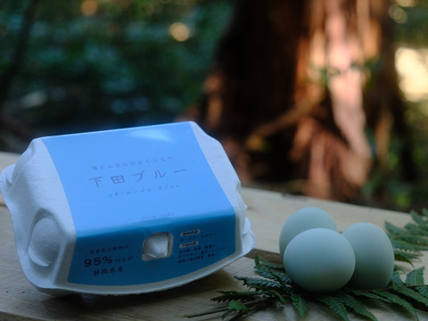NHKで紹介！【24個】オメガ３が普通の卵の４倍！24時間放牧養鶏卵(6個×4パック)アローカナの産む幸せの青い卵、下田ブルー！！