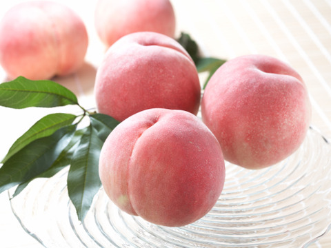 【限定販売】9月の桃！！「夢かおり」2kg
