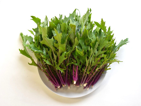 和らぎ農法　赤軸水菜（1袋）