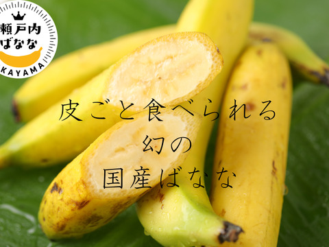 フルーツを超えた幻の国産バナナ、皮ごと食べられる「瀬戸内ばなな」2本入3pack(計6本)