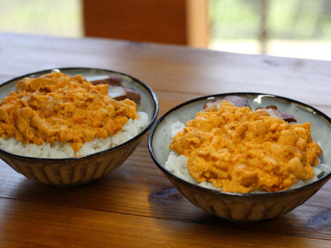 【幻の高級ウニ】赤ウニ/殻付きそのまま/とろけるコク/5個【生】