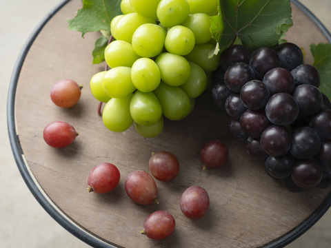 【冷眠】で旬をそのままに！
晴れの国岡山県産
冷凍ぶどう詰め合わせ120g×4Ｐ