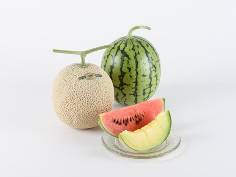 【夏ギフト】どっちも食べたい！！ シャリシャリスイカとジューシーメロンの【２玉セット】