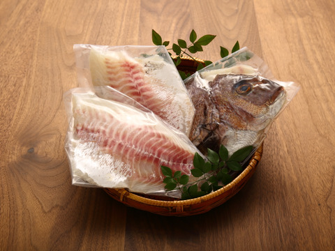 【繊細な鯛の甘みを堪能】 生・煮る・焼く・炊く！真鯛の美味しさをとことん楽しむ！【３枚おろしスキンレス】