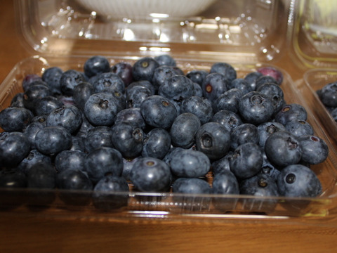 かなちか　長野県産 ブルーベリー 2kg 大粒多め 20250612110636_1.jpg