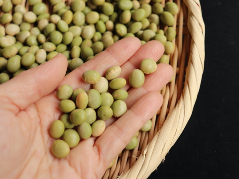 ◎自然栽培◎秘伝大豆30kg《令和6年・山形県鶴岡産》