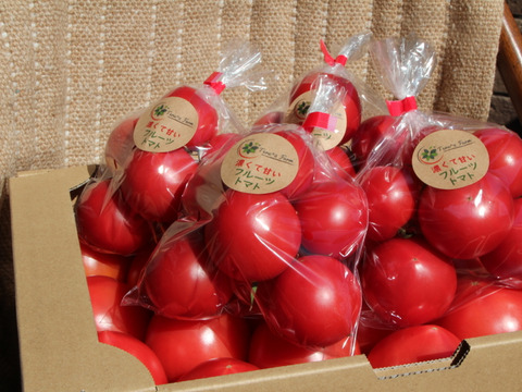 【赤熟濃縮】うま味成分たっぷり完熟もぎりの水切りトマト 2箱セット5〜6㌔程度