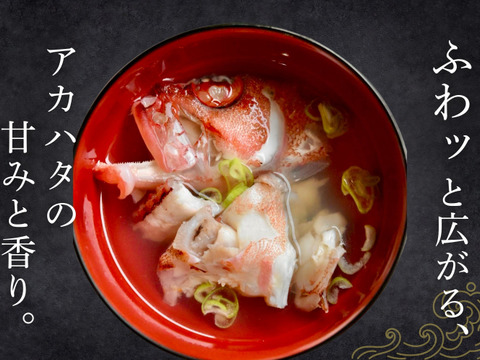 【夏季限定】宮崎の天然アカハタ（3kg）｜8月末まで発送