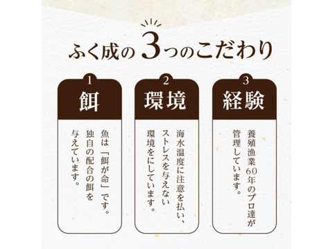 時短～♪　漬け丼用の真鯛【Firesh®︎】秘伝のレシピで作った醤油ダレを使用※解凍するだけ‼組み合わせ自由！【単品商品】