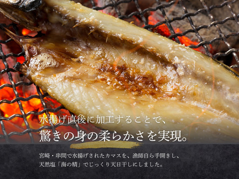 【海の精×天日干し】カマスの無添加干物（６枚入）